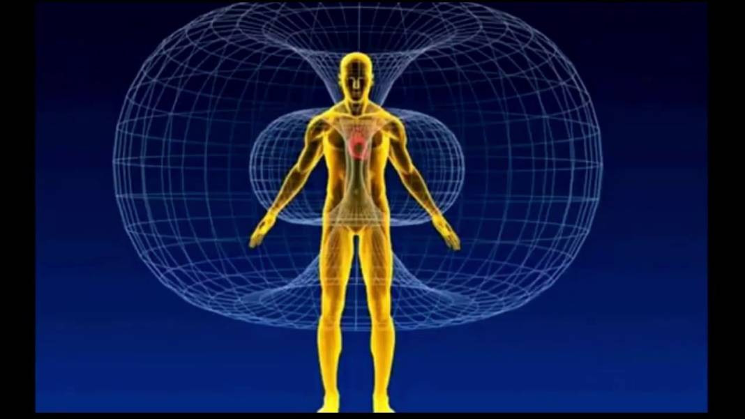 İnsan vücuduna dair şaşırtıcı gerçekler ve yaygın efsaneler - Resim: 34